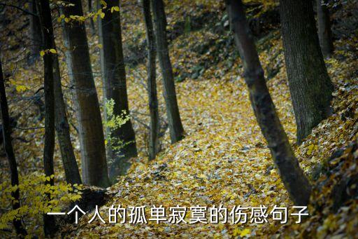 一個人心累傷感說說，一個人的孤單寂寞的傷感句子