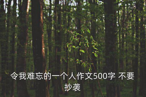 令我難忘的一個人作文500字 不要抄襲