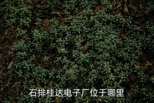 東莞市石排沙角恒達廠，石排桂達電子廠位于哪里