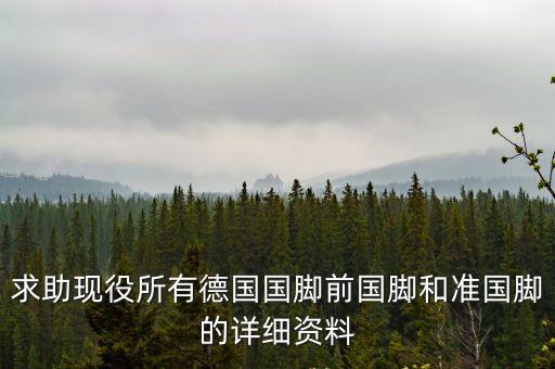 德國(guó)國(guó)腳，切爾西的德國(guó)國(guó)腳是誰(shuí)