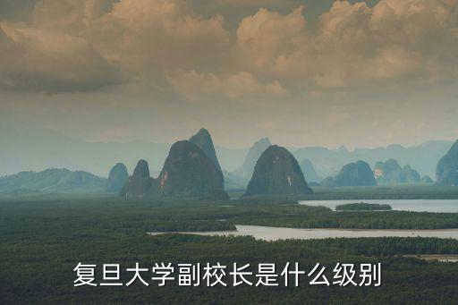 復(fù)旦大學(xué)副校長(zhǎng)是什么級(jí)別