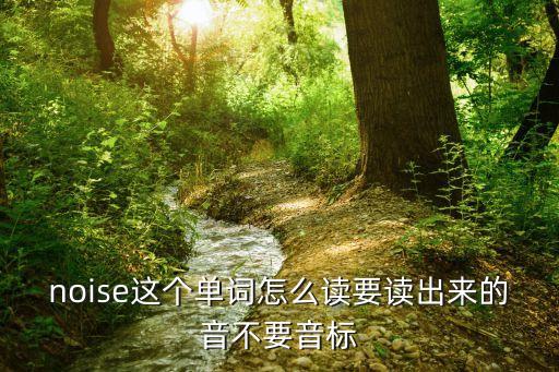噪音英語，noise這個(gè)單詞怎么讀要讀出來的音不要音標(biāo)