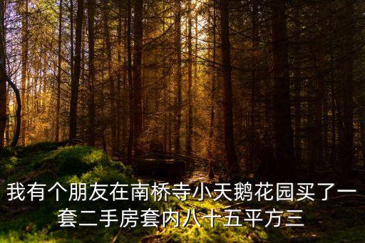 我有個朋友在南橋寺小天鵝花園買了一套二手房套內八十五平方三