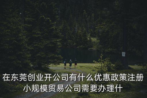 在東莞創業開公司有什么優惠政策注冊小規模貿易公司需要辦理什