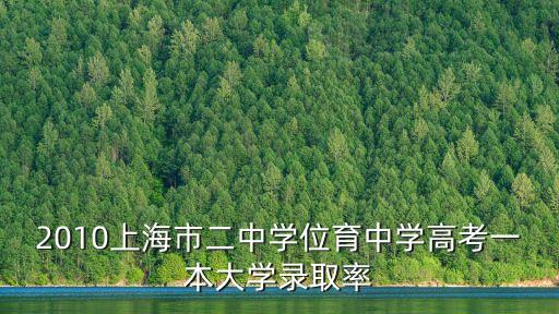 2010上海市二中學(xué)位育中學(xué)高考一本大學(xué)錄取率