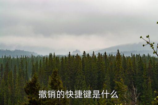 撤銷的快捷鍵，撤銷的快捷鍵是什么