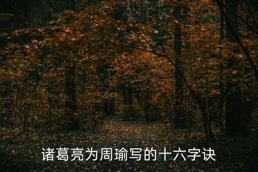 十六字訣，十六字訣為何物