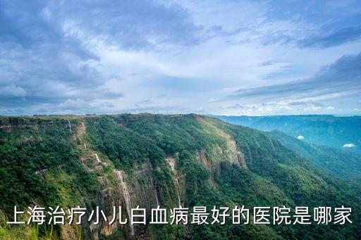 上海市兒童醫院血液科醫生排行，上海市最好的兒童醫生