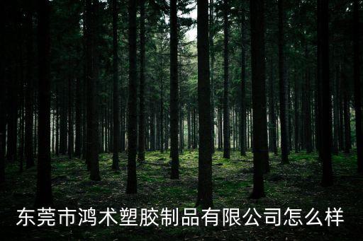 東莞市鴻術塑膠制品有限公司怎么樣