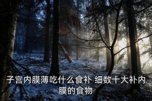 子宮內膜薄吃什么食補 細數十大補內膜的食物