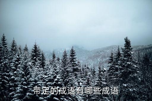 帶定的成語有哪些成語