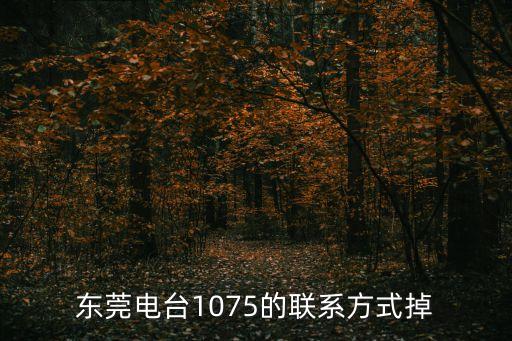 東莞電臺1075的聯系方式掉