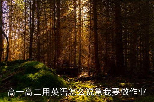 高二用英語怎么說，高一高二用英語怎么說急我要做作業