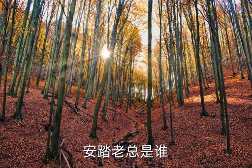 安踏老總是誰