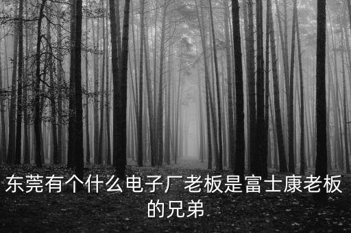 東莞有個(gè)什么電子廠(chǎng)老板是富士康老板的兄弟