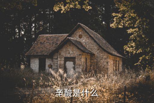 辛酸是什么
