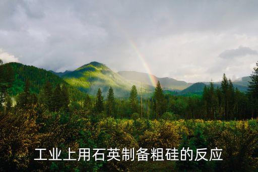 工業(yè)制粗硅，工業(yè)上制取粗硅的化學(xué)方程式是什么吖