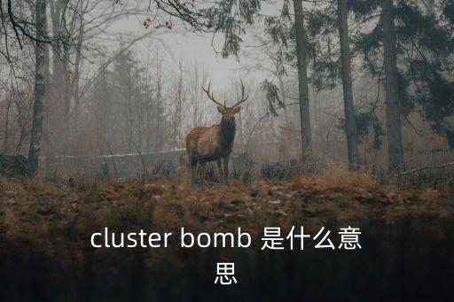 集束炸彈，cluster bomb 是什么意思