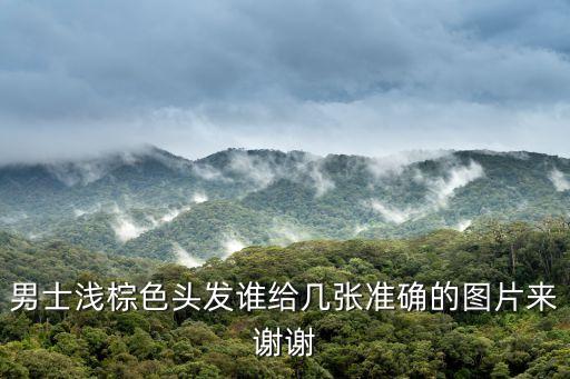 男士淺棕色頭發誰給幾張準確的圖片來謝謝