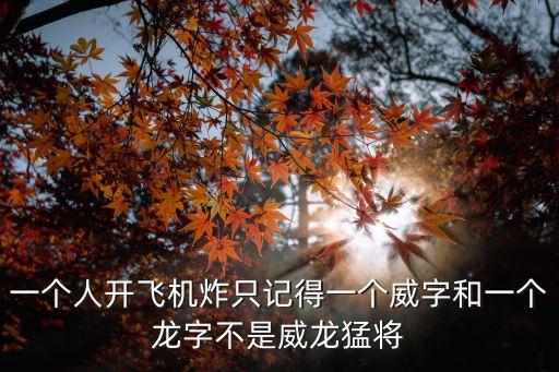 一個人開飛機炸只記得一個威字和一個龍字不是威龍猛將