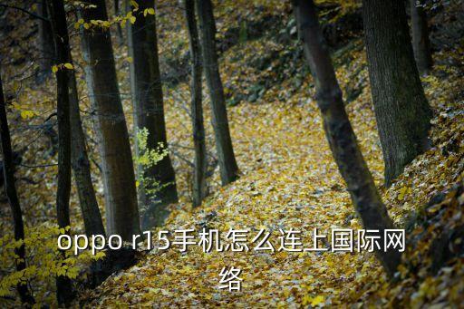 手機如何上外網，手機怎么登陸互聯網