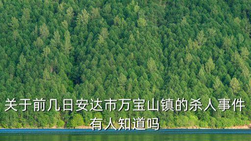 萬寶山事件，關于前幾日安達市萬寶山鎮的殺人事件有人知道嗎
