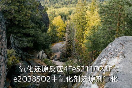 氧化還原反應(yīng)4FeS211O22Fe2O38SO2中氧化劑還原劑氧化