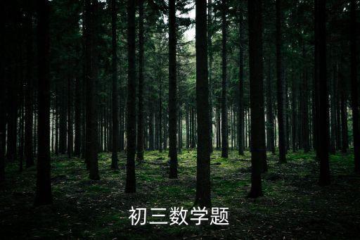 初三數學題