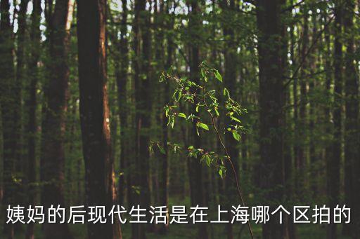 姨媽的后現(xiàn)代生活是在上海哪個區(qū)拍的