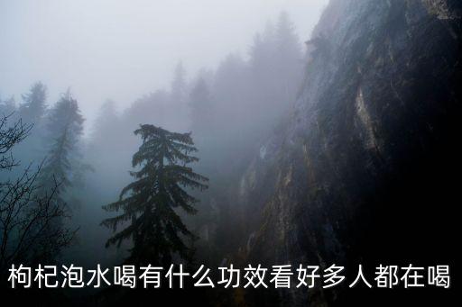 枸杞泡水喝的功效，枸杞水有什么功效