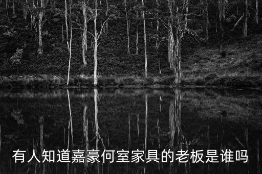 有人知道嘉豪何室家具的老板是誰(shuí)嗎