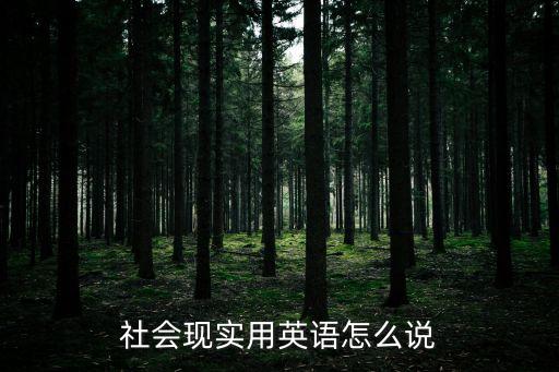 社會現實用英語怎么說