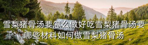 雪梨豬骨湯要怎么做好吃雪梨豬骨湯要哪些材料如何做雪梨豬骨湯