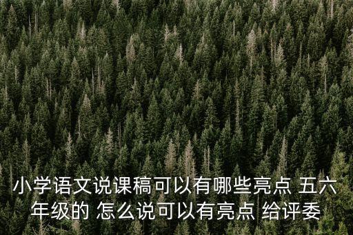 小學語文說課稿可以有哪些亮點 五六年級的 怎么說可以有亮點 給評委