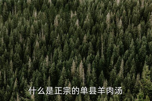 什么是正宗的單縣羊肉湯