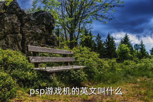 游戲機英文，電子游戲機用英語怎么說8快