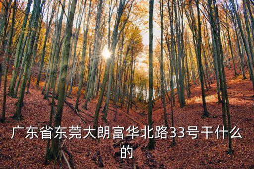 廣東省東莞大朗富華北路33號干什么的
