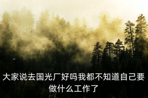 大家說去國光廠好嗎我都不知道自己要做什么工作了