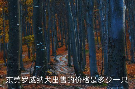 東莞羅威納犬出售的價格是多少一只