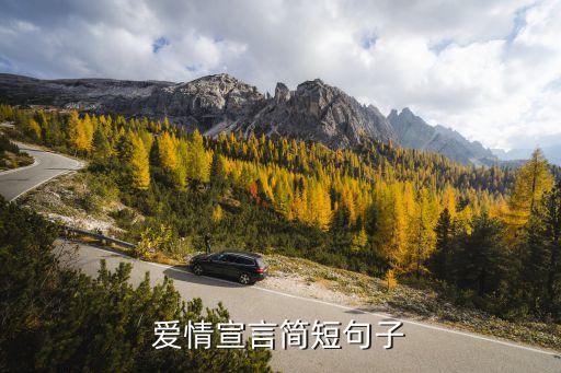 愛情宣言簡短句子