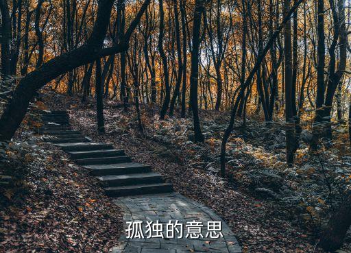 孤單的意思，孤獨(dú)的含義是什么