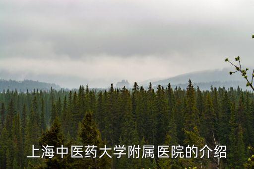 上海市中醫醫院何時建成，上海中醫不孕不育醫院