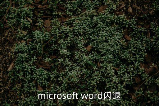 word閃退，word一插入文件就閃退