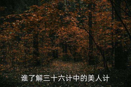 誰了解三十六計中的美人計