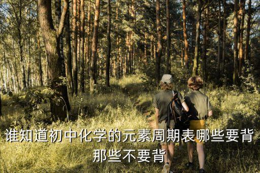 初中元素周期表，初中化學(xué)元素周期表