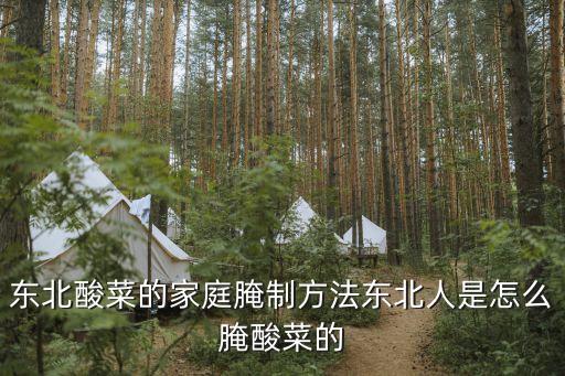 東北酸菜的腌制方法，東北窖腌酸菜的具體詳細方法