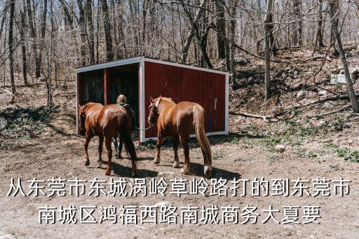 從東莞市東城渦嶺草嶺路打的到東莞市南城區鴻福西路南城商務大夏要