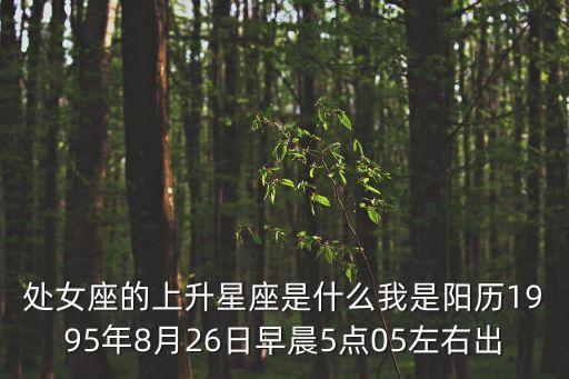 處女座的上升星座是什么我是陽歷1995年8月26日早晨5點05左右出