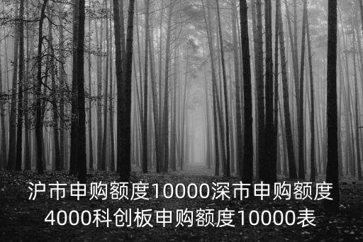滬市申購(gòu)額度10000深市申購(gòu)額度4000科創(chuàng)板申購(gòu)額度10000表