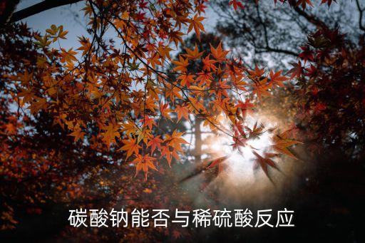 碳酸鈉能否與稀硫酸反應